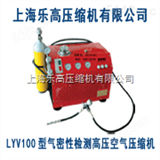 LYV100CNGLYV100CNG汽车气密性检测高压空气压缩机*到底