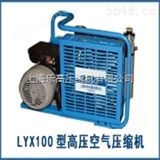 LYX100A集装箱船配置高压空气压缩机