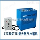LYX100T6天然气压缩机品牌好质量好