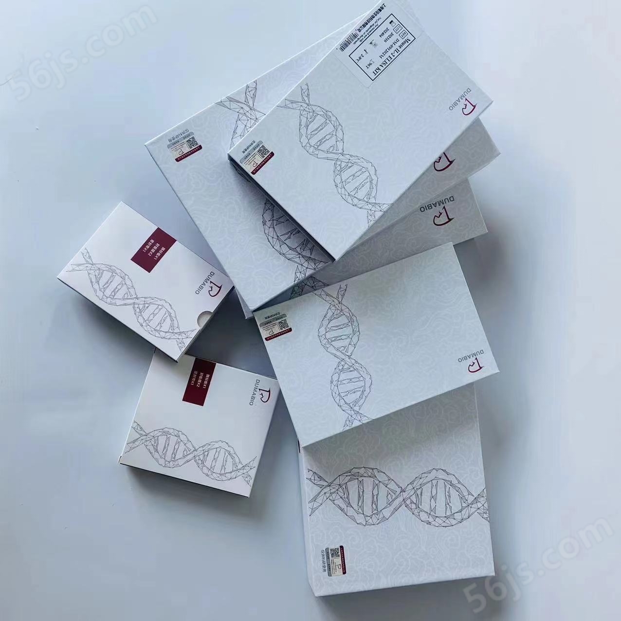 鼠白介素ELISA试剂盒